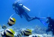 Club Med El Gouna Mer Rouge