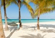Hôtel Couples Swept Away