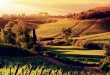 Italie gourmande et ses vignobles